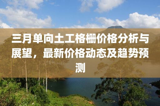 三月單向土工格柵價(jià)格分析與展望，最新價(jià)格動(dòng)態(tài)及趨勢(shì)預(yù)測(cè)