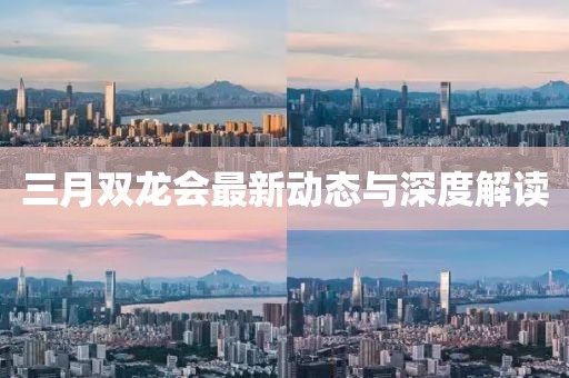 三月雙龍會(huì)最新動(dòng)態(tài)與深度解讀