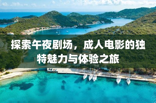 探索午夜劇場(chǎng)，成人電影的獨(dú)特魅力與體驗(yàn)之旅