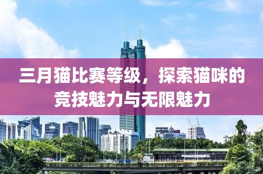 三月貓比賽等級，探索貓咪的競技魅力與無限魅力