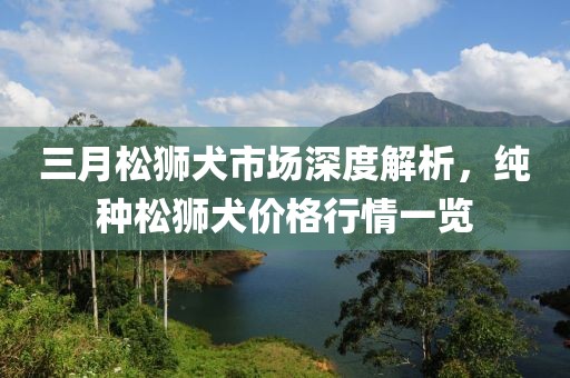 三月松獅犬市場深度解析，純種松獅犬價格行情一覽
