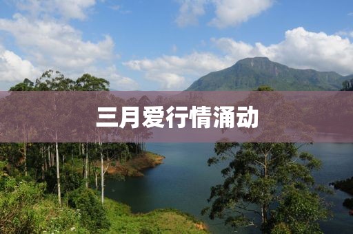 三月愛(ài)行情涌動(dòng)