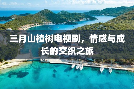 2025年3月 第13頁