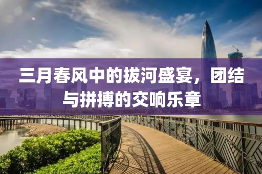 三月春風(fēng)中的拔河盛宴，團(tuán)結(jié)與拼搏的交響樂章