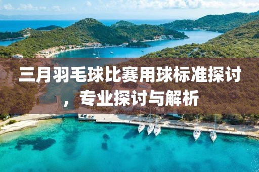 三月羽毛球比賽用球標(biāo)準(zhǔn)探討，專業(yè)探討與解析