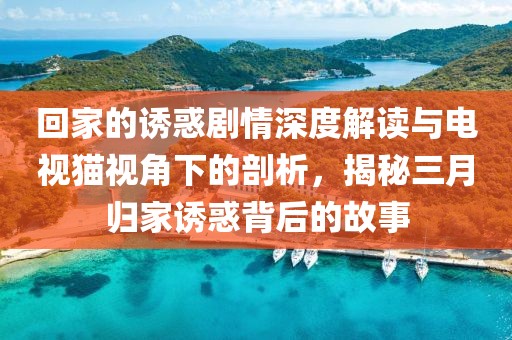 回家的誘惑劇情深度解讀與電視貓視角下的剖析，揭秘三月歸家誘惑背后的故事
