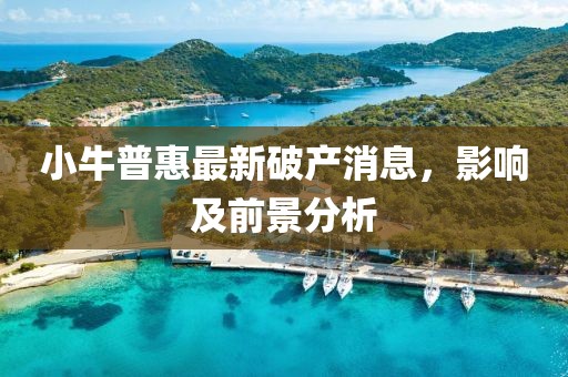小牛普惠最新破產(chǎn)消息，影響及前景分析