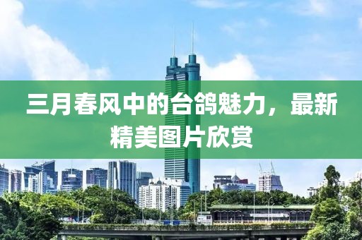 三月春風(fēng)中的臺鴿魅力，最新精美圖片欣賞