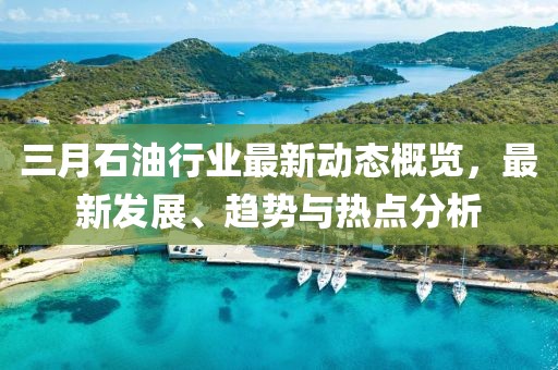 三月石油行業(yè)最新動(dòng)態(tài)概覽，最新發(fā)展、趨勢(shì)與熱點(diǎn)分析