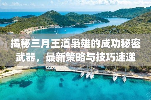 揭秘三月王道梟雄的成功秘密武器，最新策略與技巧速遞