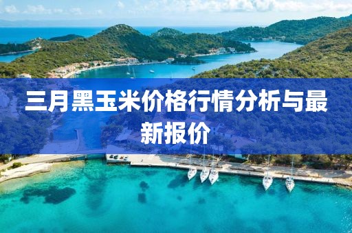 三月黑玉米價(jià)格行情分析與最新報(bào)價(jià)