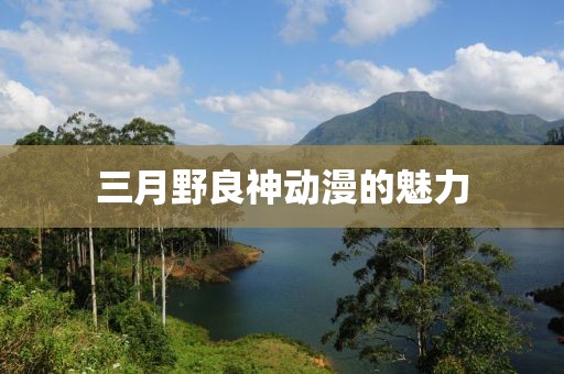 三月野良神動漫的魅力