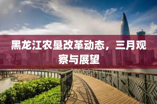 黑龍江農(nóng)墾改革動態(tài)，三月觀察與展望