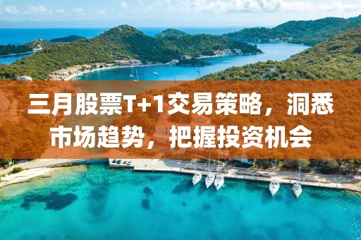 三月股票T+1交易策略，洞悉市場趨勢，把握投資機(jī)會