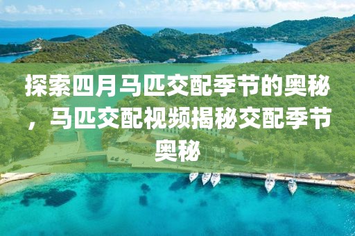 探索四月馬匹交配季節(jié)的奧秘，馬匹交配視頻揭秘交配季節(jié)奧秘