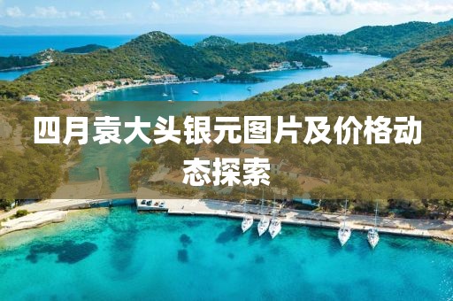 四月袁大頭銀元圖片及價格動態(tài)探索