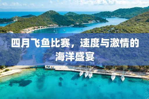 四月飛魚比賽，速度與激情的海洋盛宴