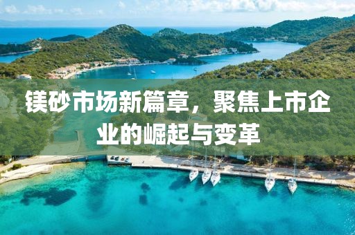 鎂砂市場(chǎng)新篇章，聚焦上市企業(yè)的崛起與變革