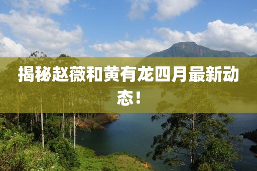 揭秘趙薇和黃有龍四月最新動態(tài)！