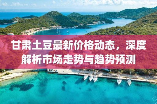 甘肅土豆最新價格動態(tài)，深度解析市場走勢與趨勢預(yù)測