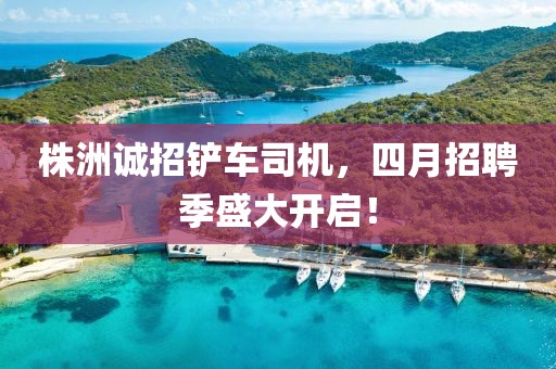 株洲誠招鏟車司機，四月招聘季盛大開啟！