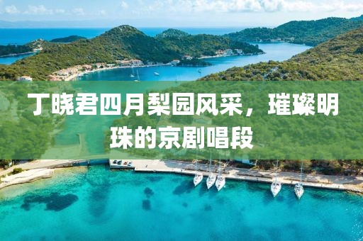 丁曉君四月梨園風(fēng)采，璀璨明珠的京劇唱段