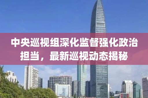 中央巡視組深化監(jiān)督強化政治擔(dān)當(dāng)，最新巡視動態(tài)揭秘