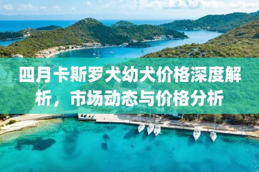 四月卡斯羅犬幼犬價(jià)格深度解析，市場(chǎng)動(dòng)態(tài)與價(jià)格分析