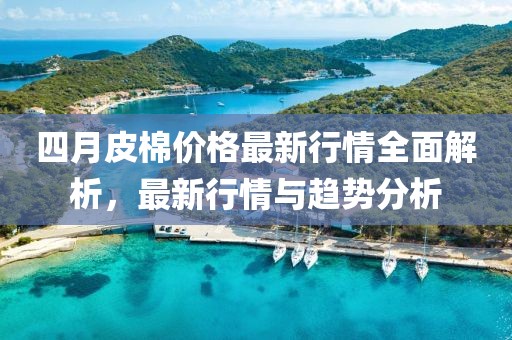 四月皮棉價(jià)格最新行情全面解析，最新行情與趨勢(shì)分析