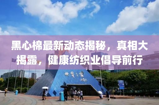 黑心棉最新動態(tài)揭秘，真相大揭露，健康紡織業(yè)倡導(dǎo)前行