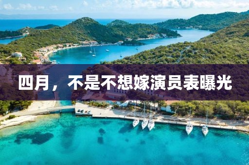2025年5月 第222頁