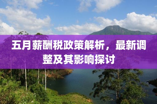 五月薪酬稅政策解析，最新調(diào)整及其影響探討