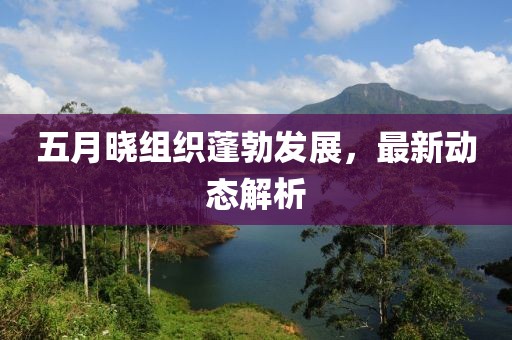 五月曉組織蓬勃發(fā)展，最新動(dòng)態(tài)解析