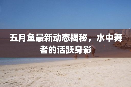 五月魚最新動態(tài)揭秘，水中舞者的活躍身影