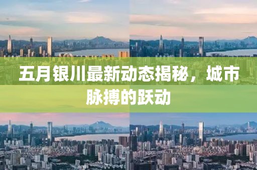 五月銀川最新動(dòng)態(tài)揭秘，城市脈搏的躍動(dòng)