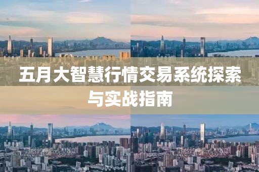 五月大智慧行情交易系統(tǒng)探索與實(shí)戰(zhàn)指南