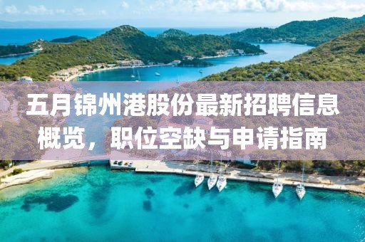 五月錦州港股份最新招聘信息概覽，職位空缺與申請指南