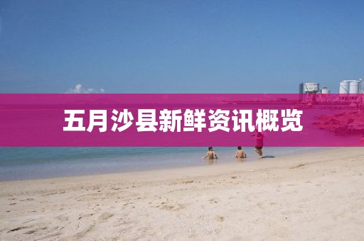 五月沙縣新鮮資訊概覽