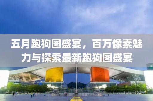 五月跑狗圖盛宴，百萬像素魅力與探索最新跑狗圖盛宴