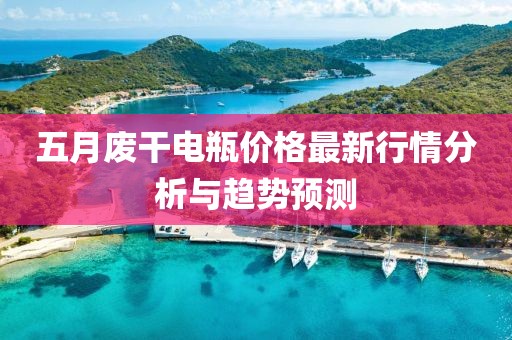 五月廢干電瓶價格最新行情分析與趨勢預(yù)測