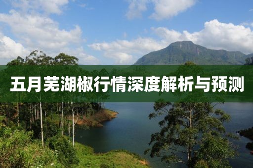 五月蕪湖椒行情深度解析與預(yù)測