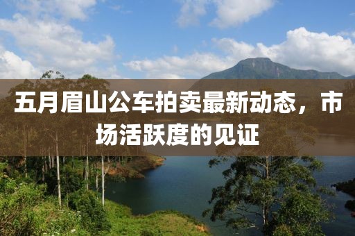 五月眉山公車拍賣最新動態(tài)，市場活躍度的見證
