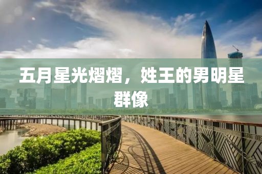 五月星光熠熠，姓王的男明星群像