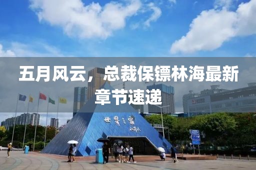五月風(fēng)云，總裁保鏢林海最新章節(jié)速遞