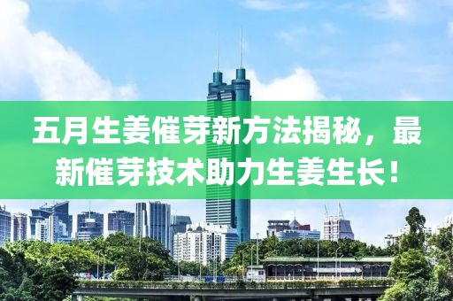 五月生姜催芽新方法揭秘，最新催芽技術(shù)助力生姜生長(zhǎng)！
