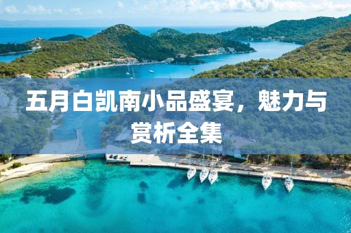 五月白凱南小品盛宴，魅力與賞析全集