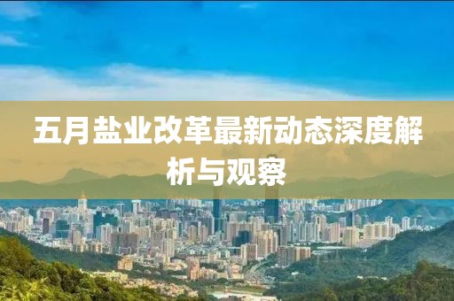 五月鹽業(yè)改革最新動(dòng)態(tài)深度解析與觀察