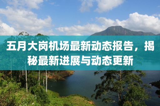五月大崗機(jī)場最新動態(tài)報告，揭秘最新進(jìn)展與動態(tài)更新