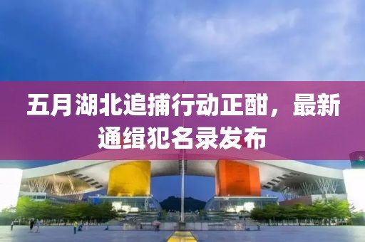 五月湖北追捕行動正酣，最新通緝犯名錄發(fā)布