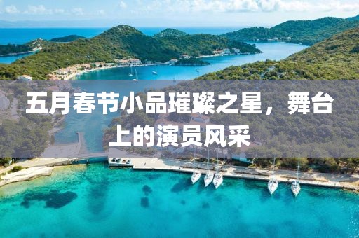 五月春節(jié)小品璀璨之星，舞臺上的演員風(fēng)采